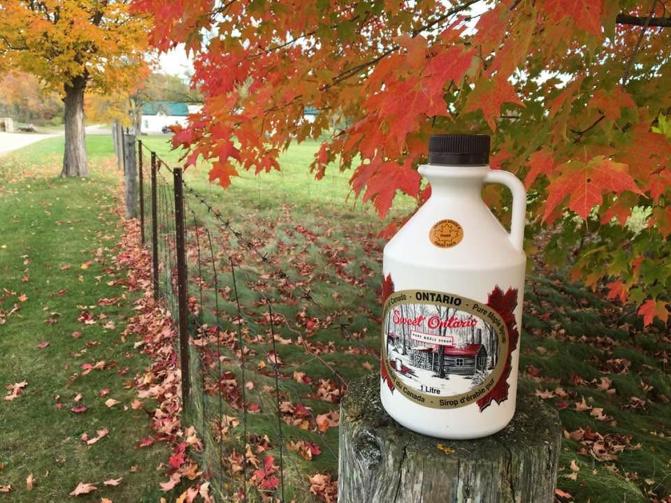 Bottle of Deerfield Farm maple syrup on a fencpost under autumn maple leaves on deerfield farm
